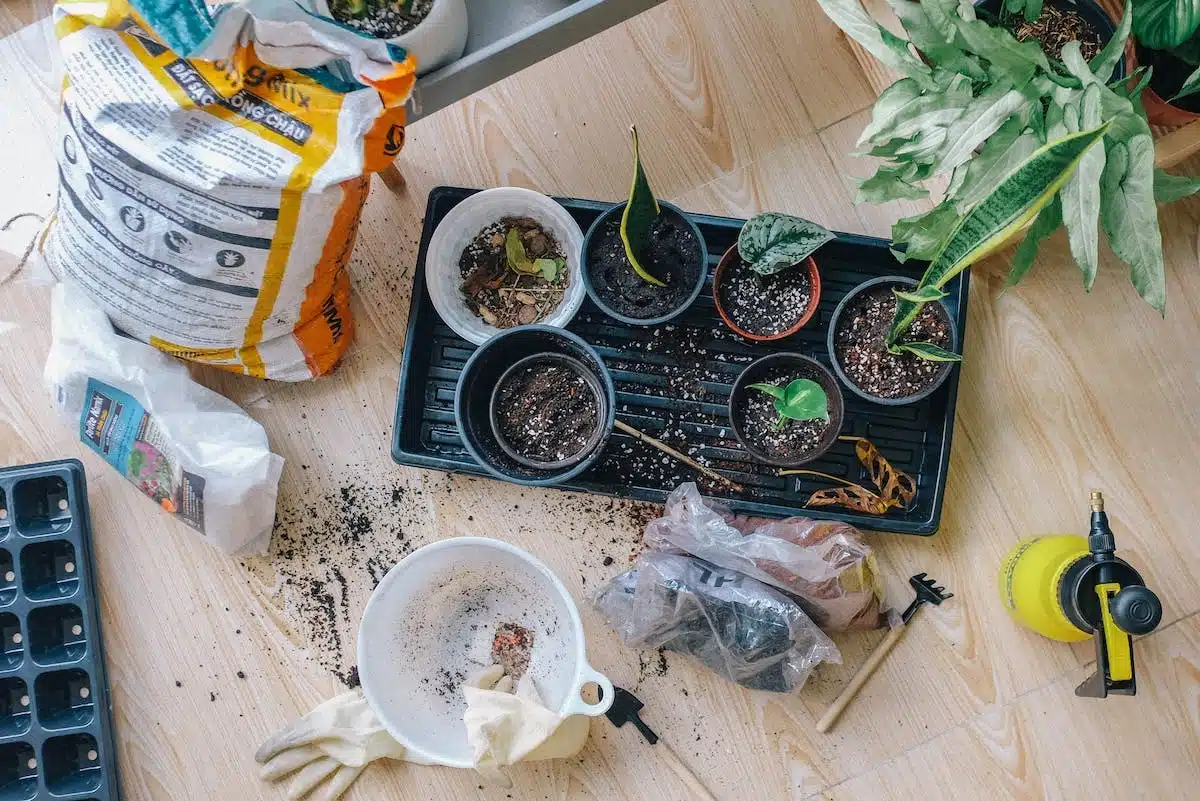 potager  restreint