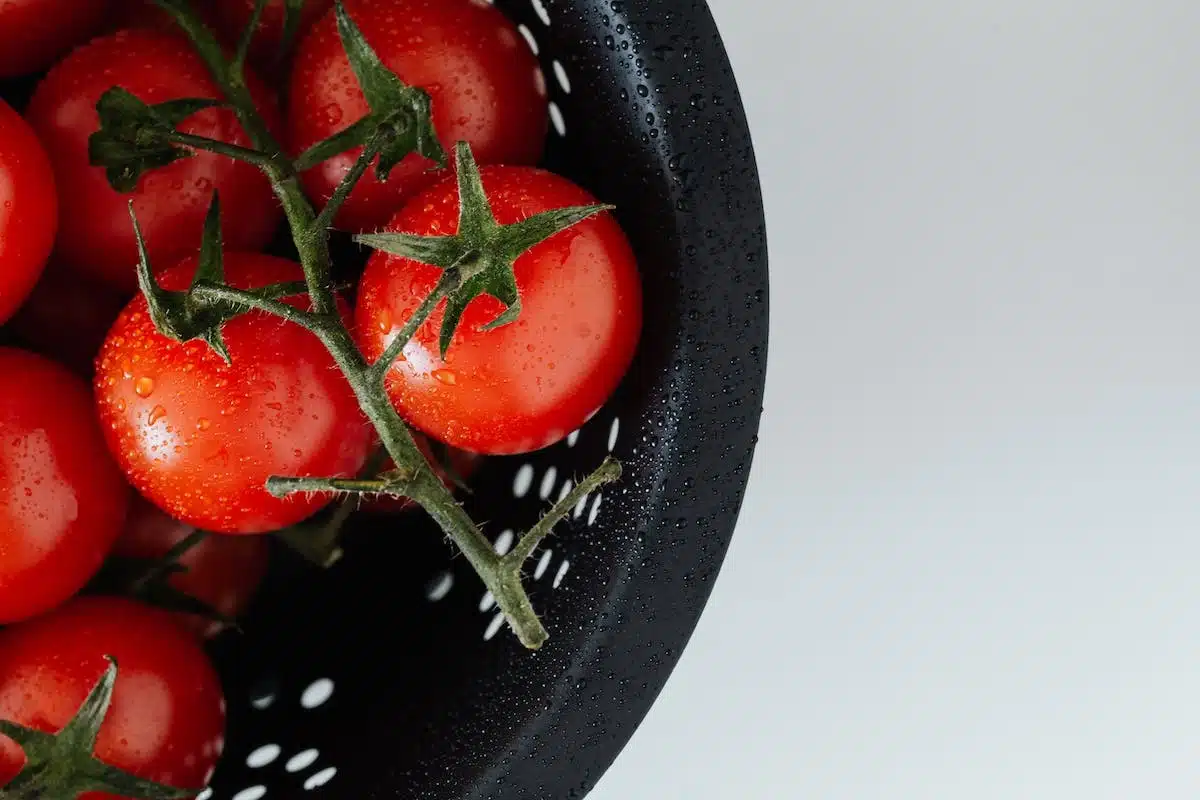arrosage tomates