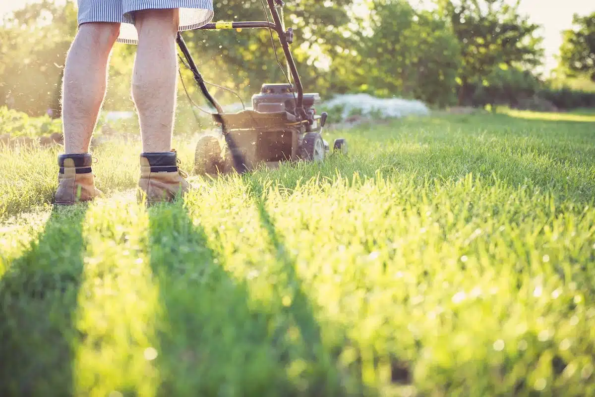 couper herbe