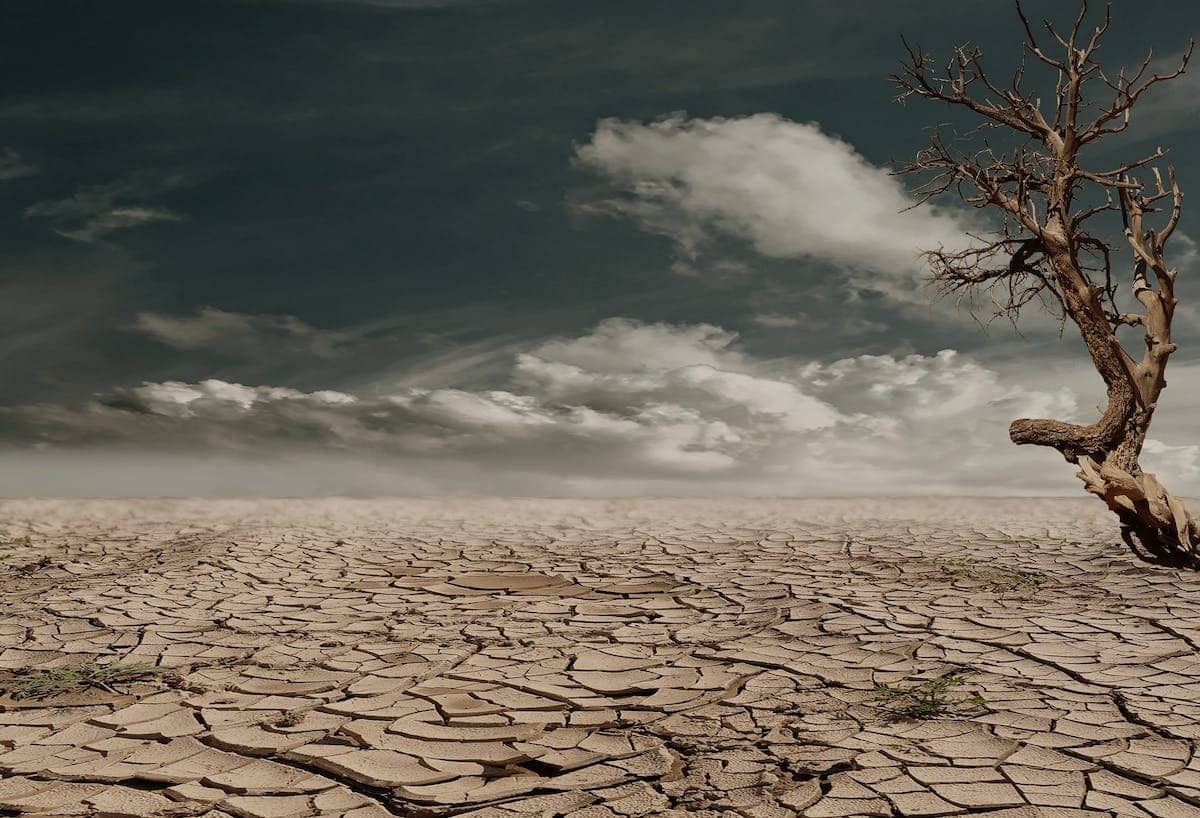 adaptation  environnement