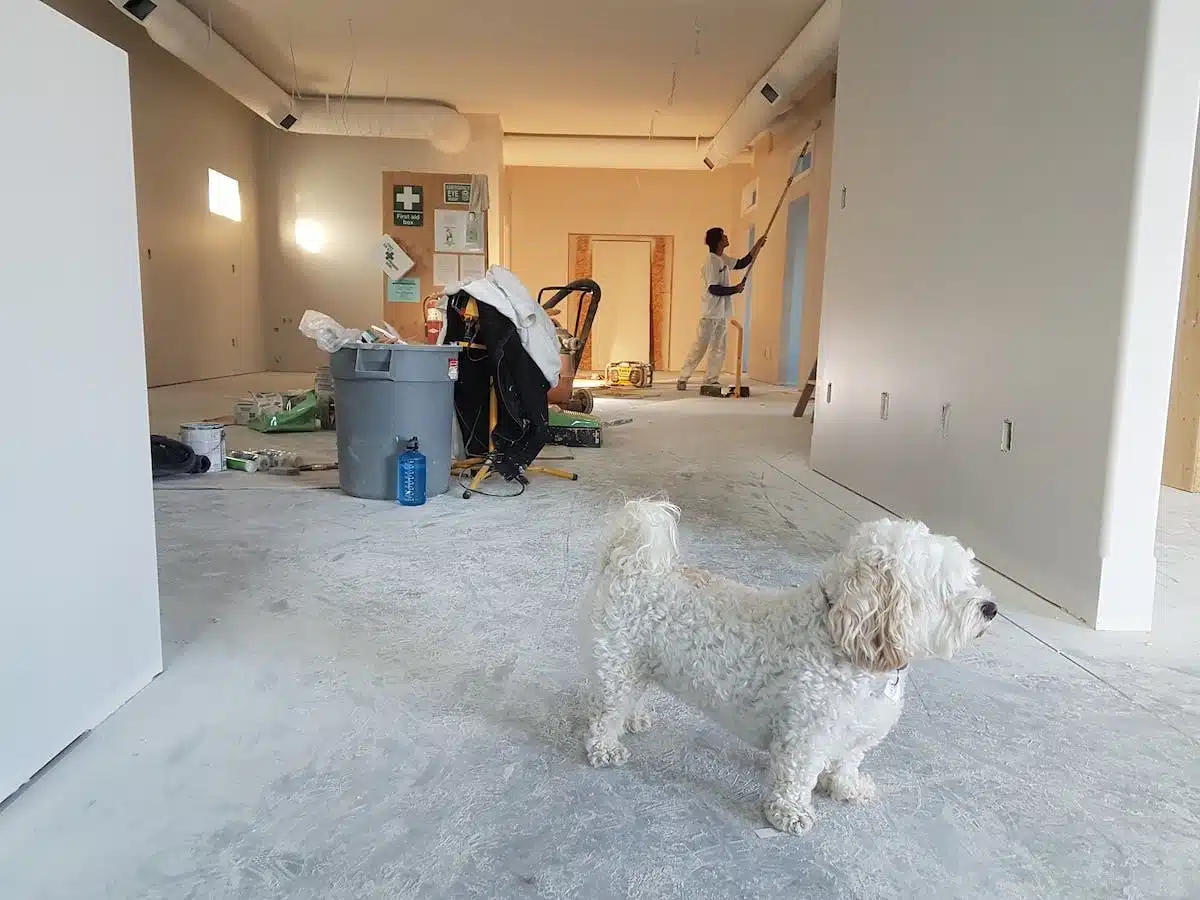 blog  rénovation