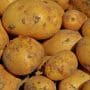 Comment assurer le bon déroulement de sa récolte pomme de terre ?